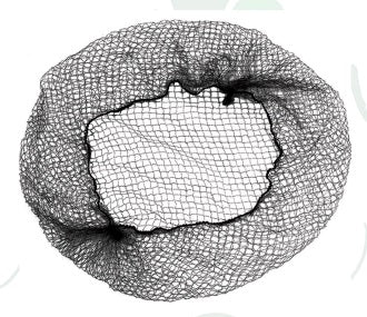 GORRO MALLA NEGRO PQTE X 20 UNDS